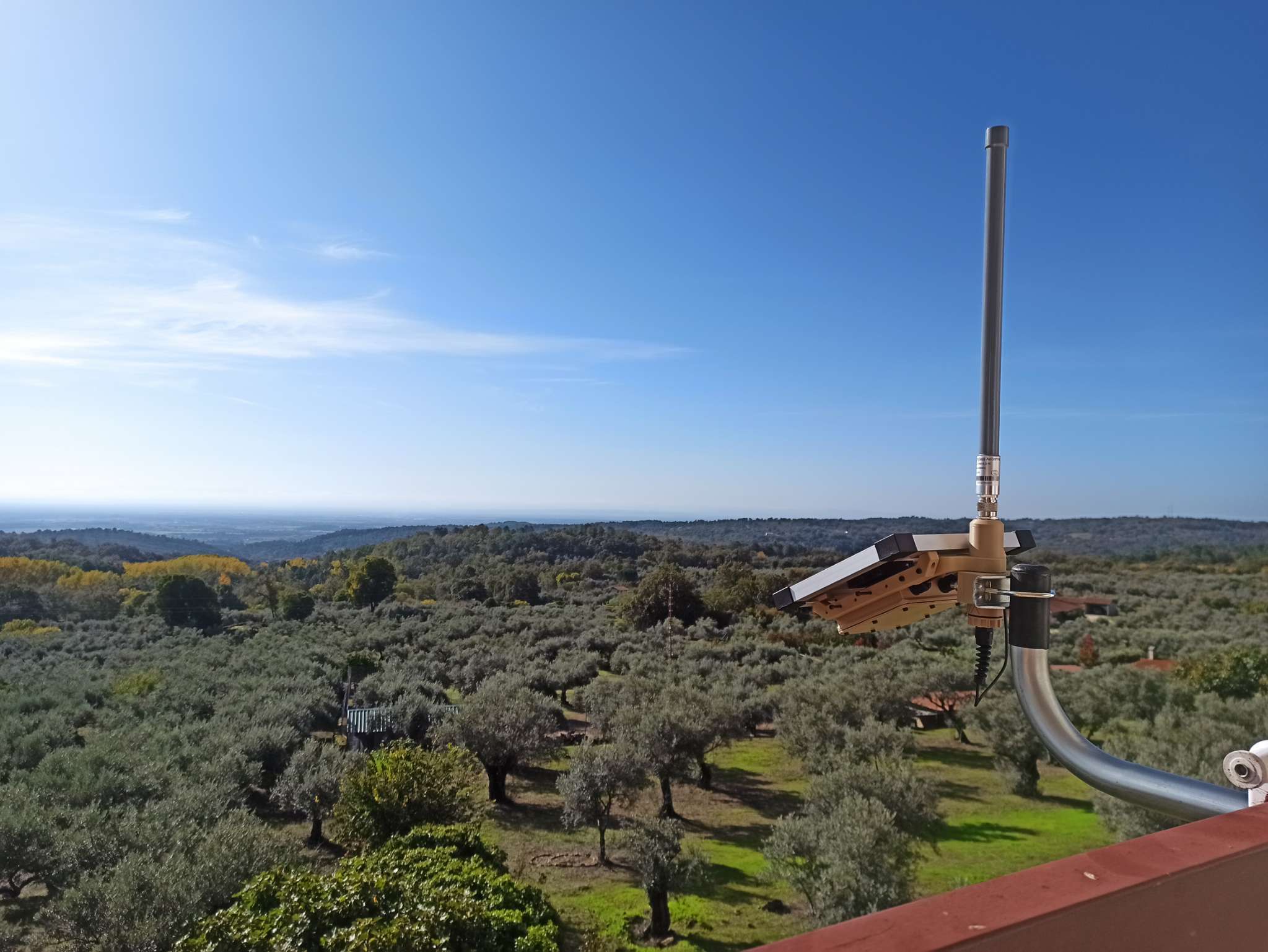 mestastic repeaters in large area