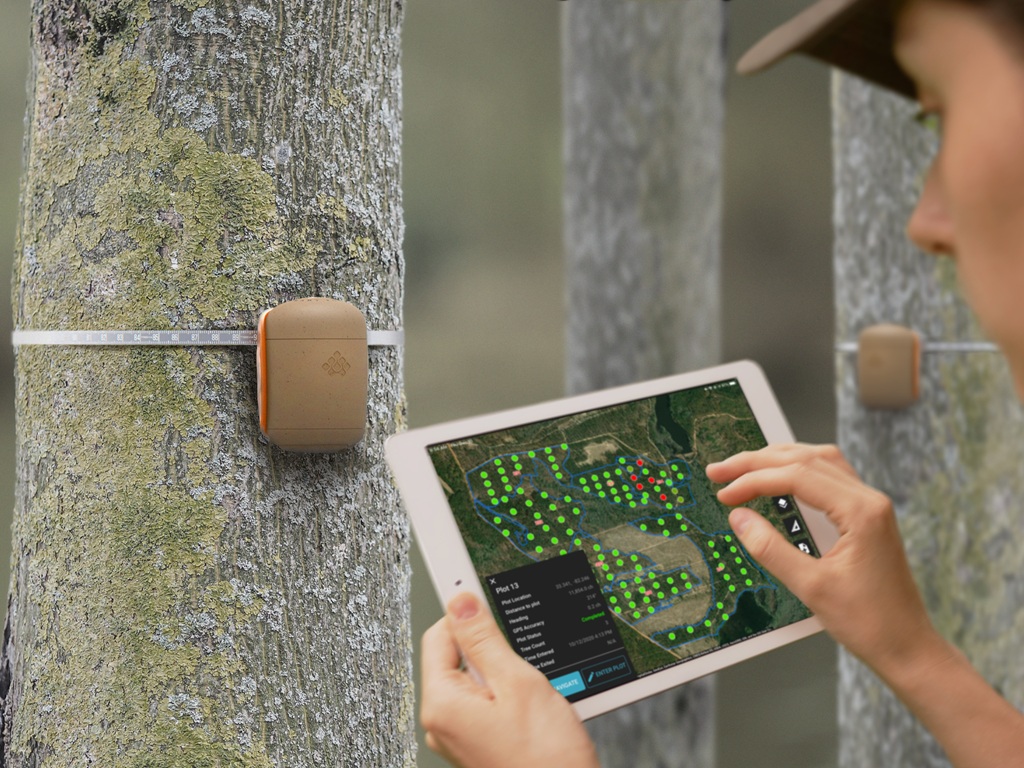 smart forestry applications