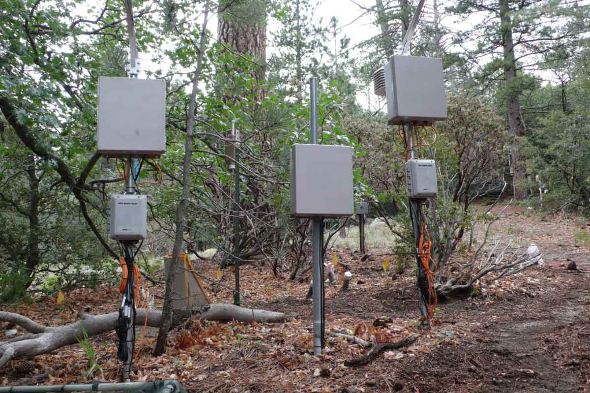 smart forestry