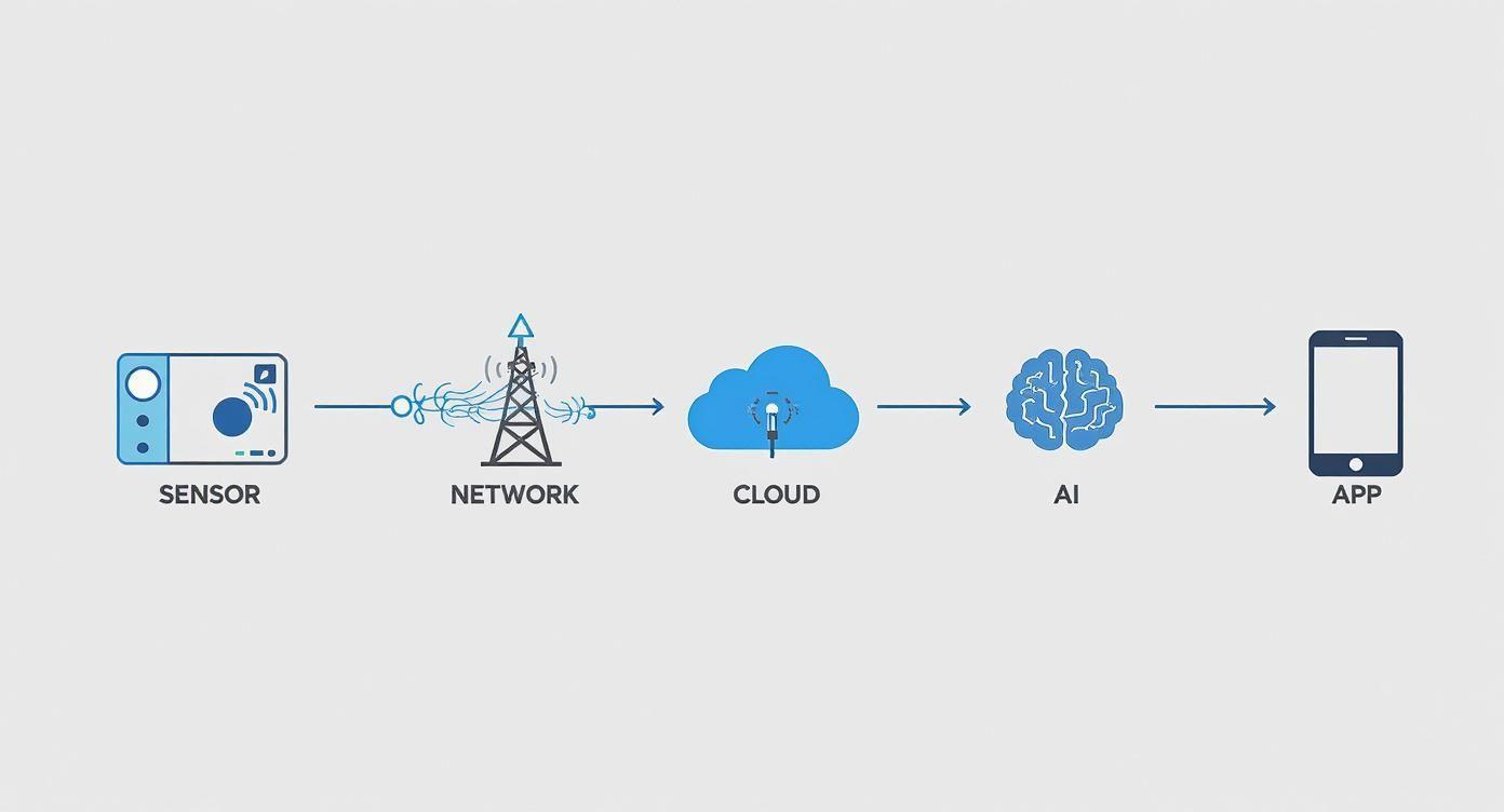 aiiot for lorawan